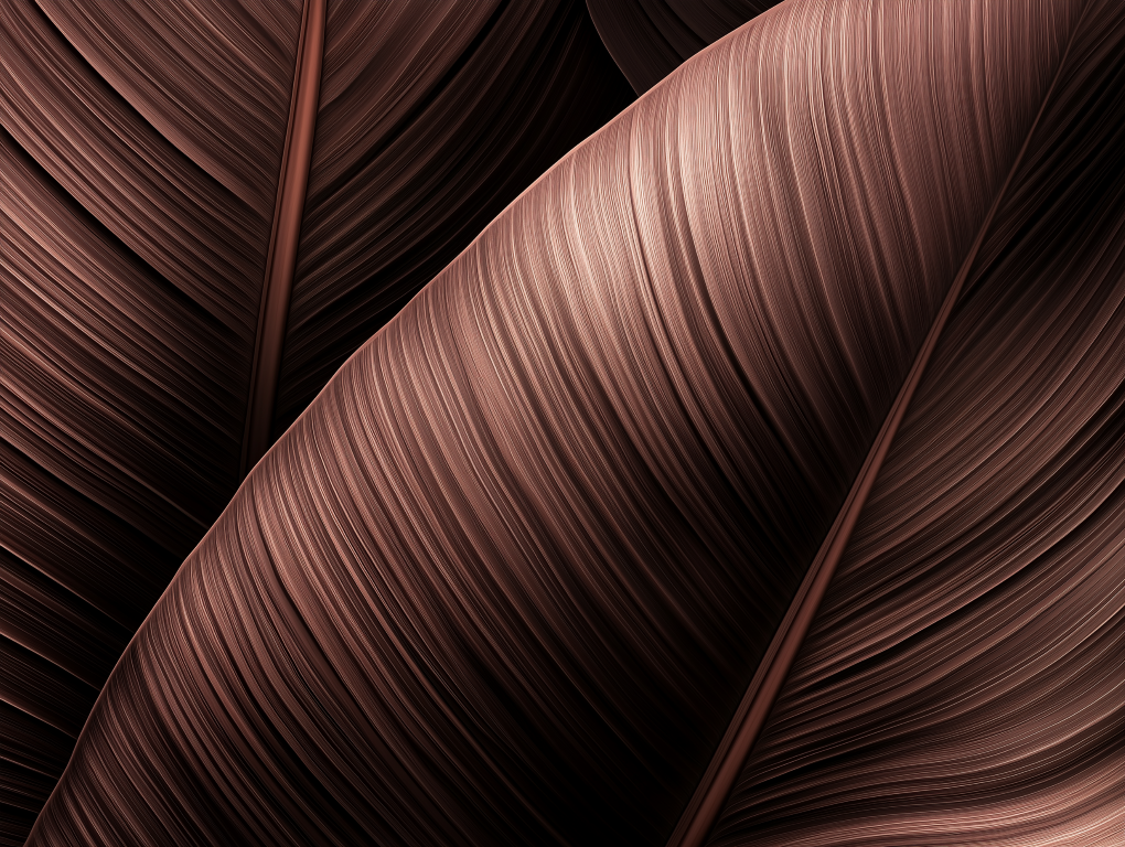 Leaves Wallpaper 054