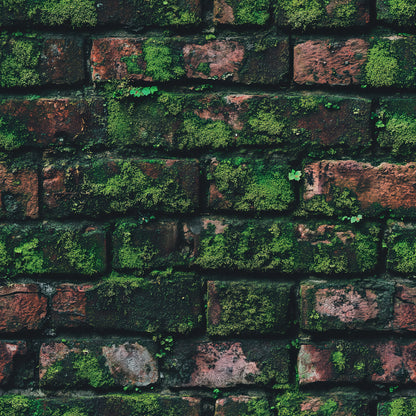 ورق جدران طوب 072